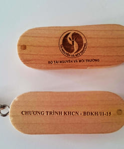 USB quà tặng in logo