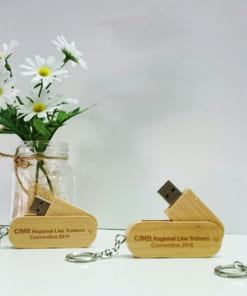 USB vỏ gỗ in logo