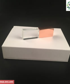 USB quà tặng in logo