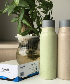 Bình nước lúa mạch