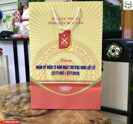Túi giấy in logo theo yêu cầu