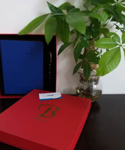 Bộ giftset quà tặng