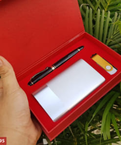 Bộ quà tặng USB bút pin sạc dự phòng