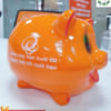 Chuyên sỉ lợn đất Hà Nội
