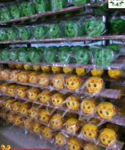 Đổ sỉ heo đất quà tặng