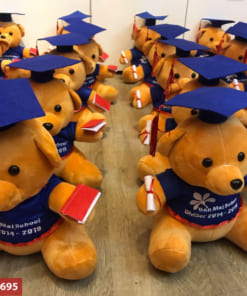 gấu bông tốt nghiệp Hà Nội
