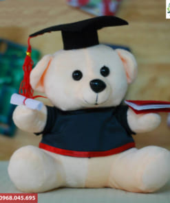 Gấu cử nhân giá rẻ