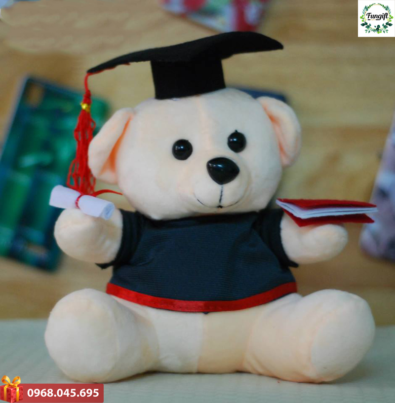 Gấu cử nhân giá rẻ