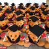 Gấu tốt nghiệp giá rẻ