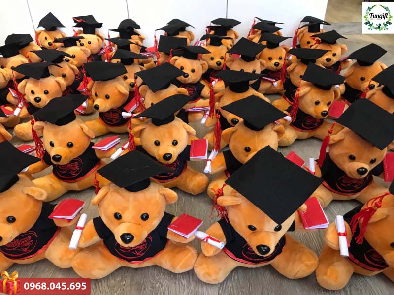 Gấu tốt nghiệp giá rẻ