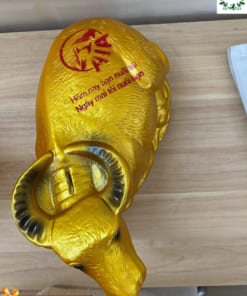 Ống tiết kiệm trâu vàng