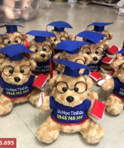 Thú nhồi bông tốt nghiệp