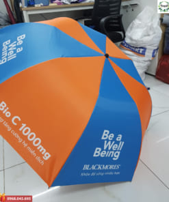 Cơ sở sản xuất ô dù