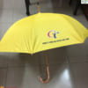 Ô dù cán cong khung gỗ