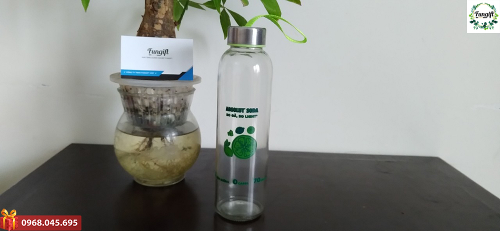 Bình thủy tinh in logo Absolut soda