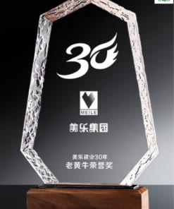 Kỷ niệm chương khắc logo doanh nghiệp