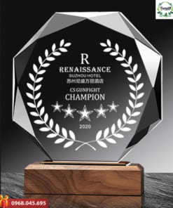 Cúp biểu trưng quà tặng