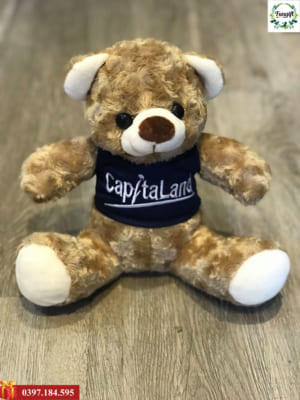 Gấu bông cử nhân Hà Nội