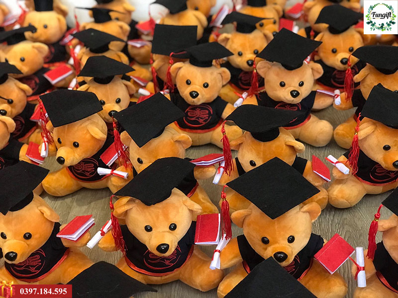 Gấu bông tốt nghiệp giá rẻ Hà Nội