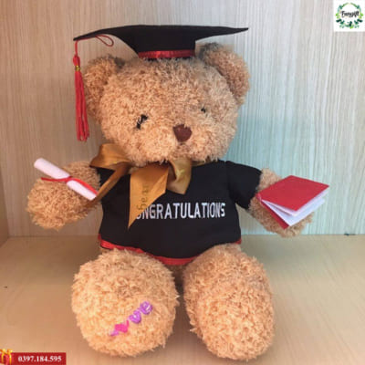 Gấu bông tốt nghiệp in logo