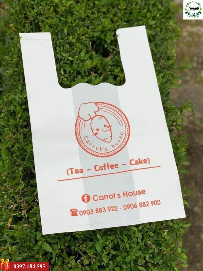 In túi bóng Hà Nội