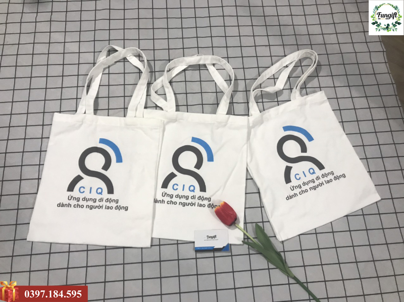 In túi canvas theo yêu cầu