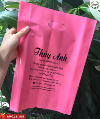 In túi nilon theo yêu cầu Hà Nội