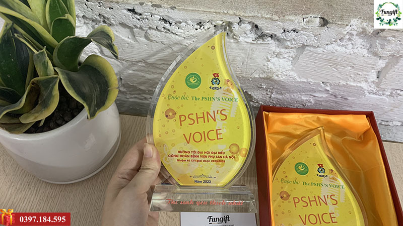 Cúp vinh danh kỷ niệm chương
