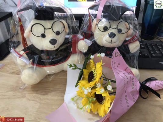 Gấu bông tốt nghiệp giá sỉ