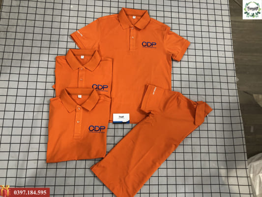 Áo Polo in logo CDP