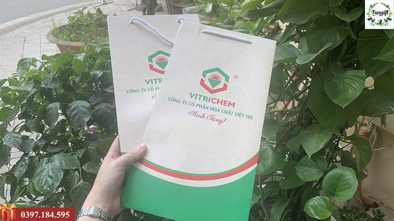 Túi đựng giấy quà tặng in logo theo yêu cầu
