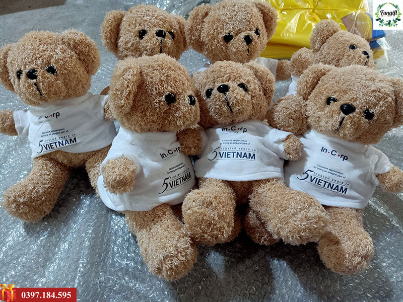 In áo gấu Teddy làm quà tặng theo yêu cầu