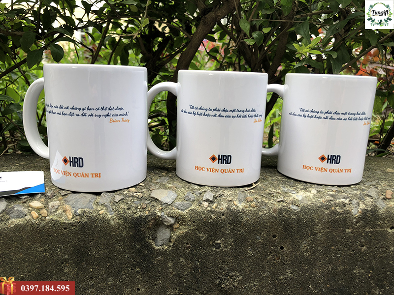 Ly sứ in hình theo yêu cầu Hà Nội