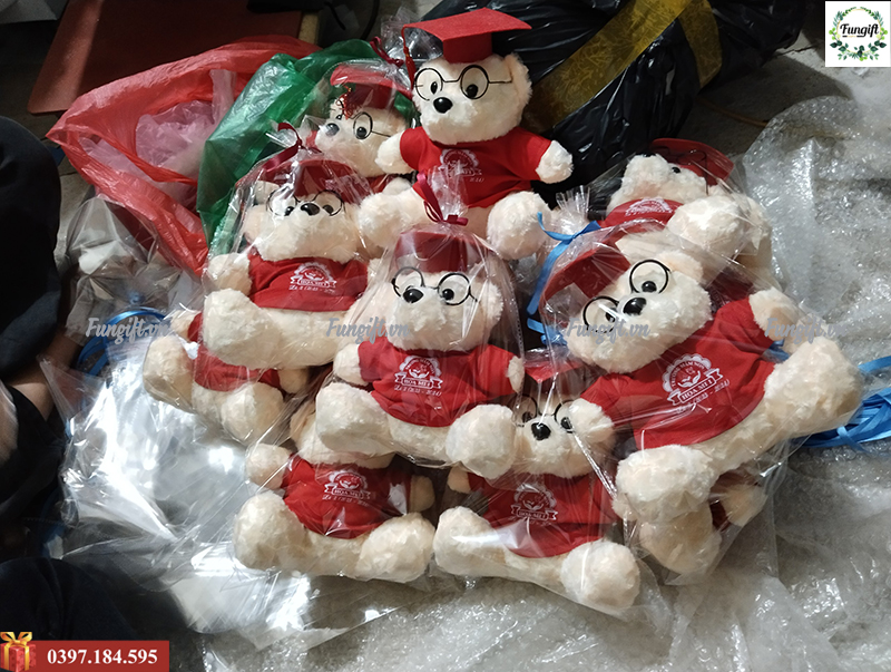 Gấu bông tốt nghiệp giá rẻ Hà Nội