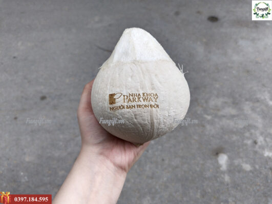 Khắc chữ lên trái dừa giá bao nhiêu