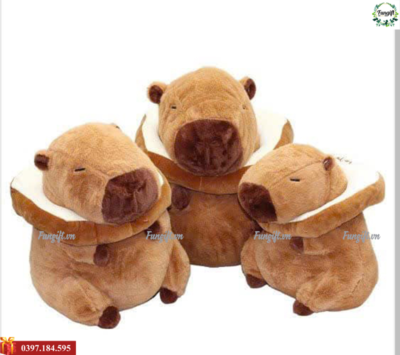 Gấu bông giá rẻ