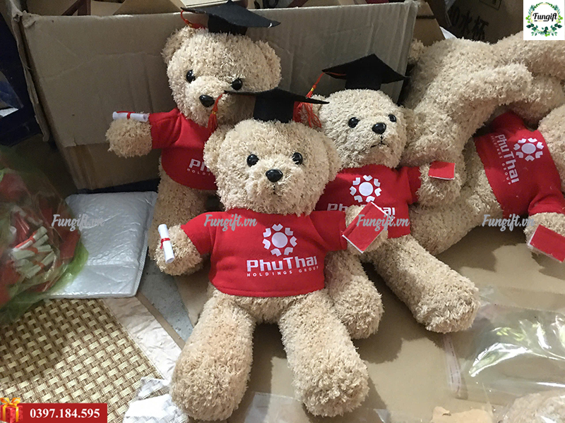 Gấu bông tốt nghiệp giá rẻ