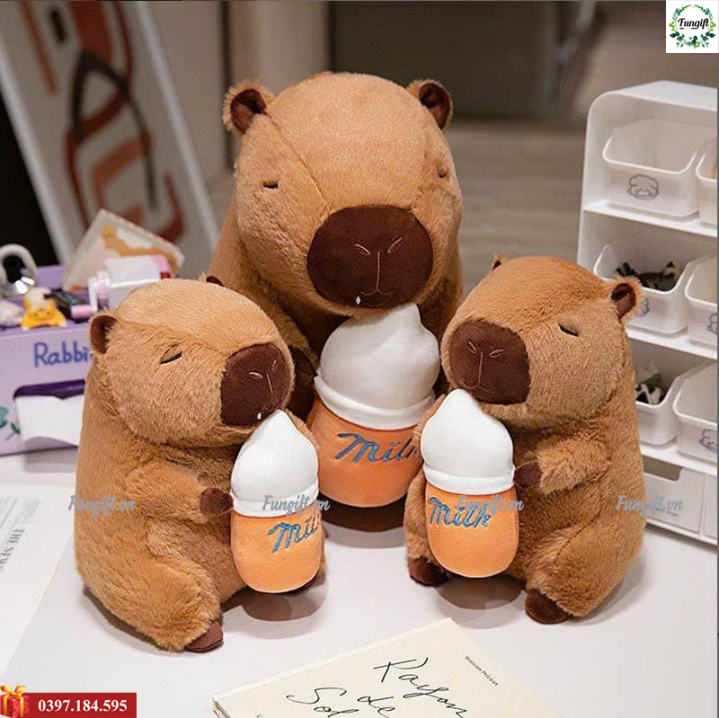 Khám phá gấu bông nhập từ Trung Việt đầy màu sắc