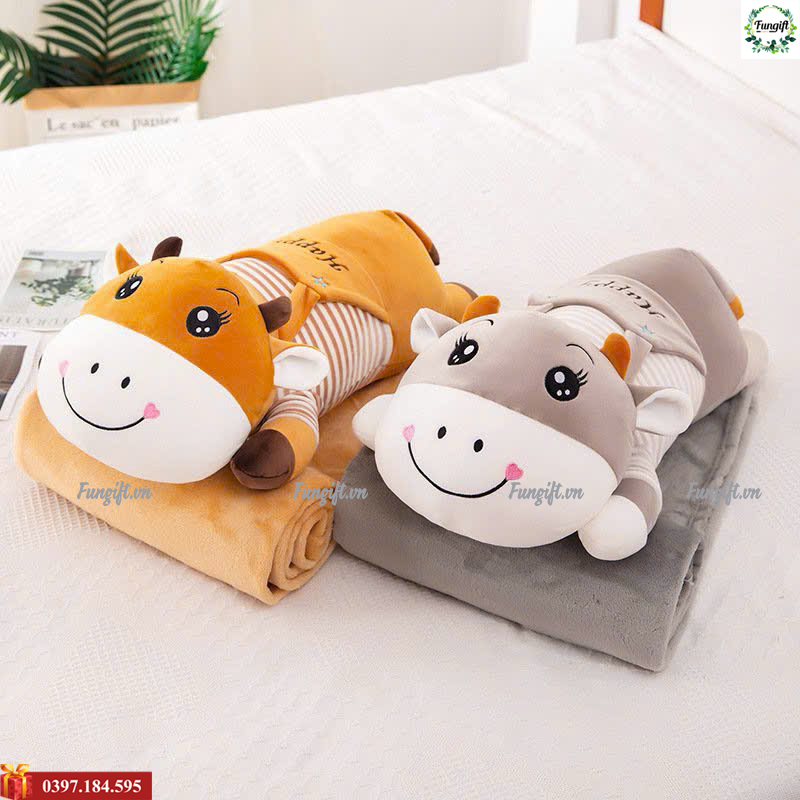Chăn gối gấu bông