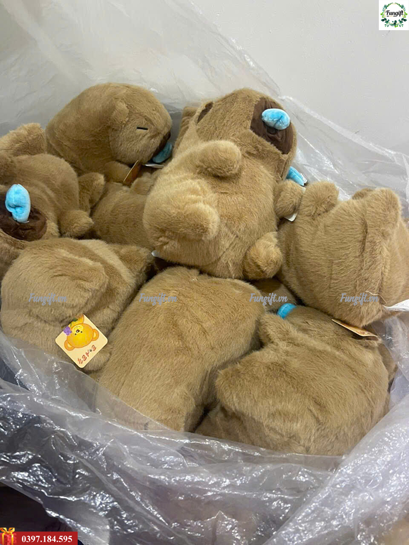 Gấu bông capybara giá rẻ tại xưởng