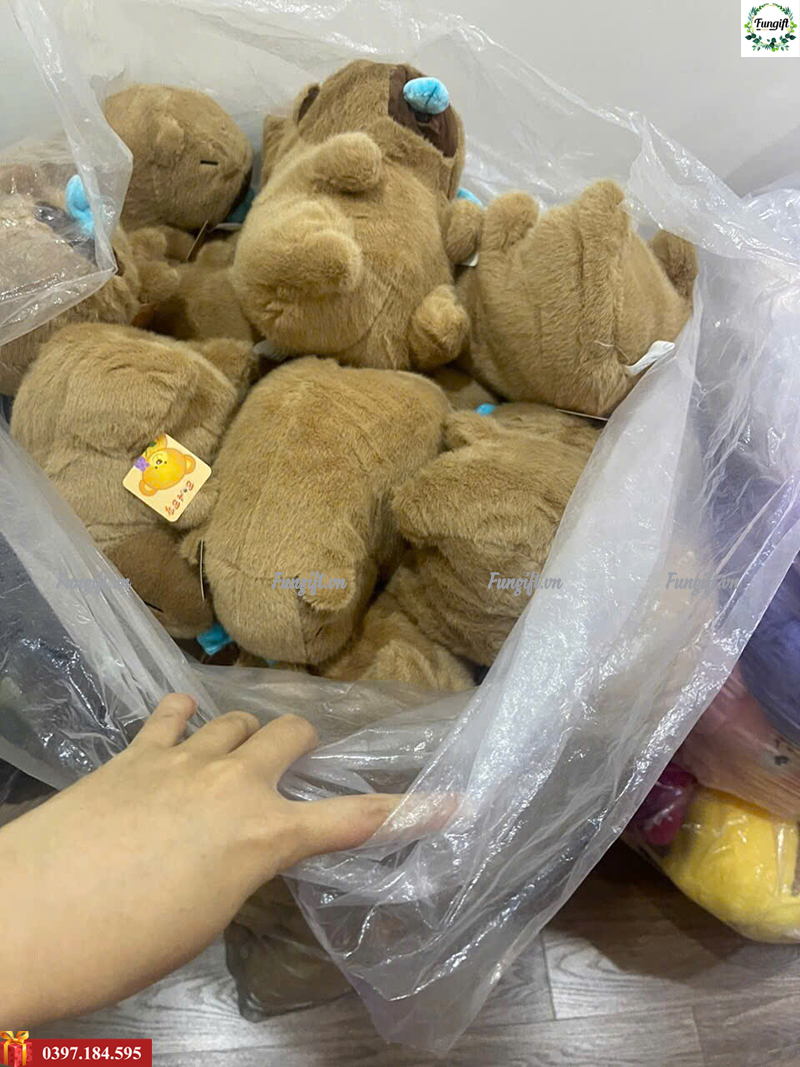 Gấu bông hình chuột capybara