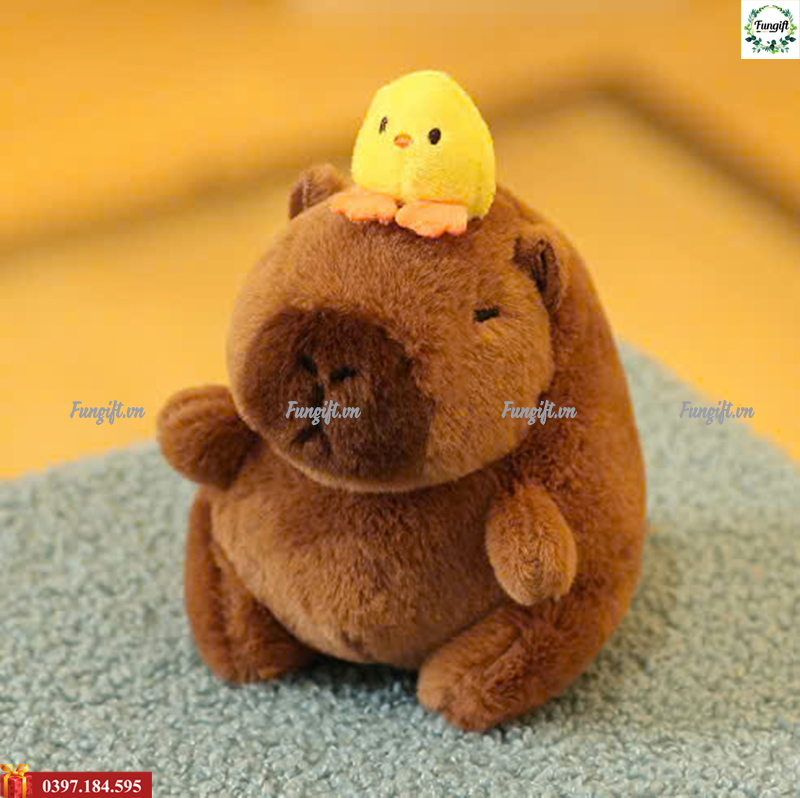 Gấu capybara đội vịt