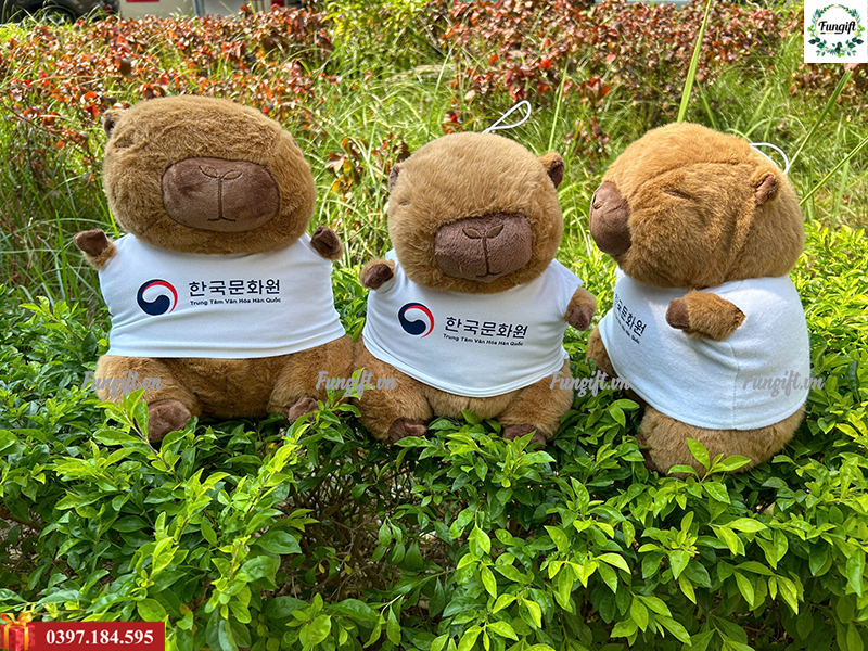 Đặt in gấu capybara quà tặng