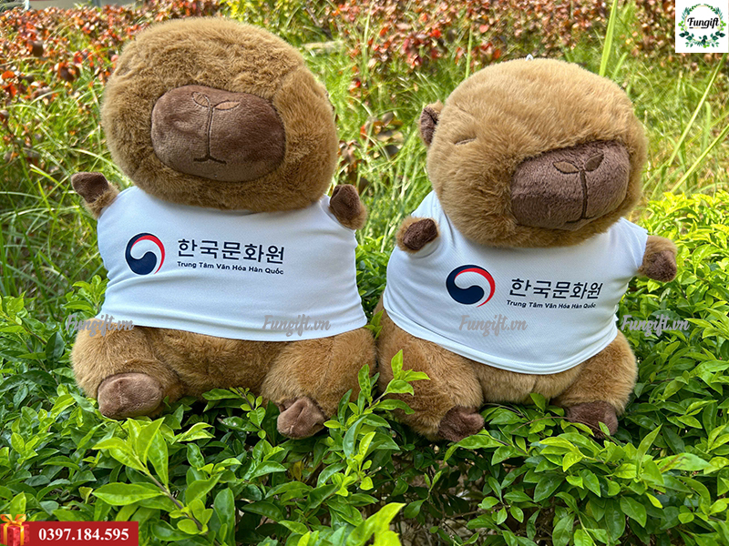 Gấu capybara in theo yêu cầu