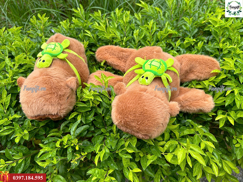 Xưởng cung cấp capybara Hà Nội