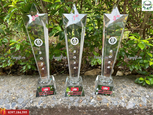 Cung cấp cúp pha lê in logo