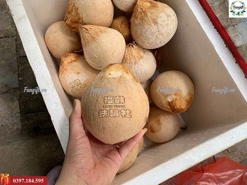 Dừa xiêm khắc logo