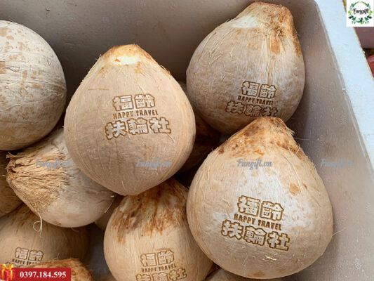 Khắc chữ lên trái dừa