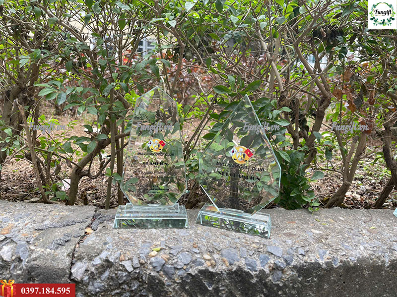 Biểu trưng pha lê in vinh danh cá nhân