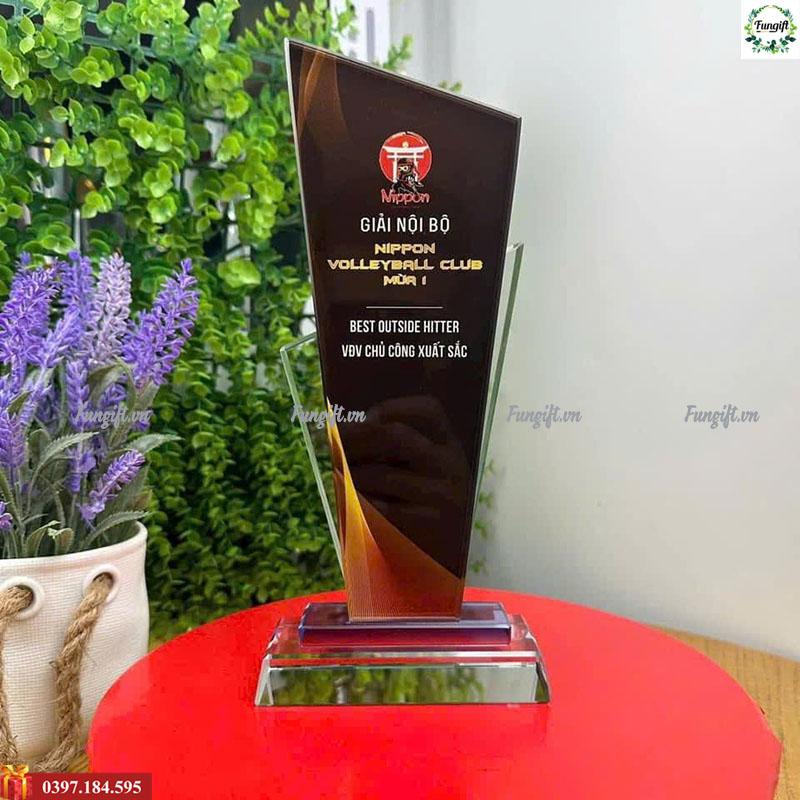 Cúp vinh danh in giải thưởng